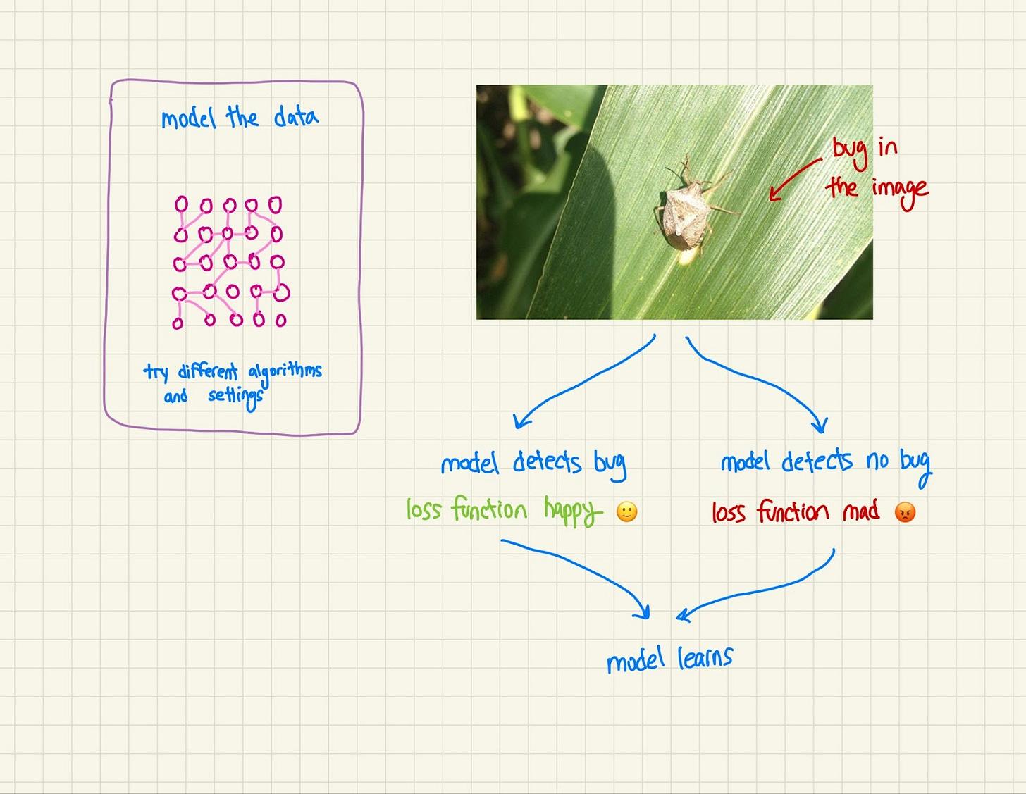 how a loss function works
