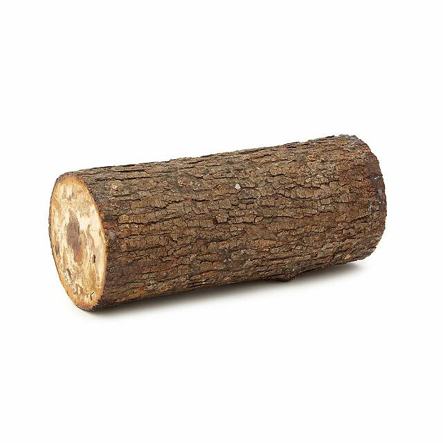 tree log